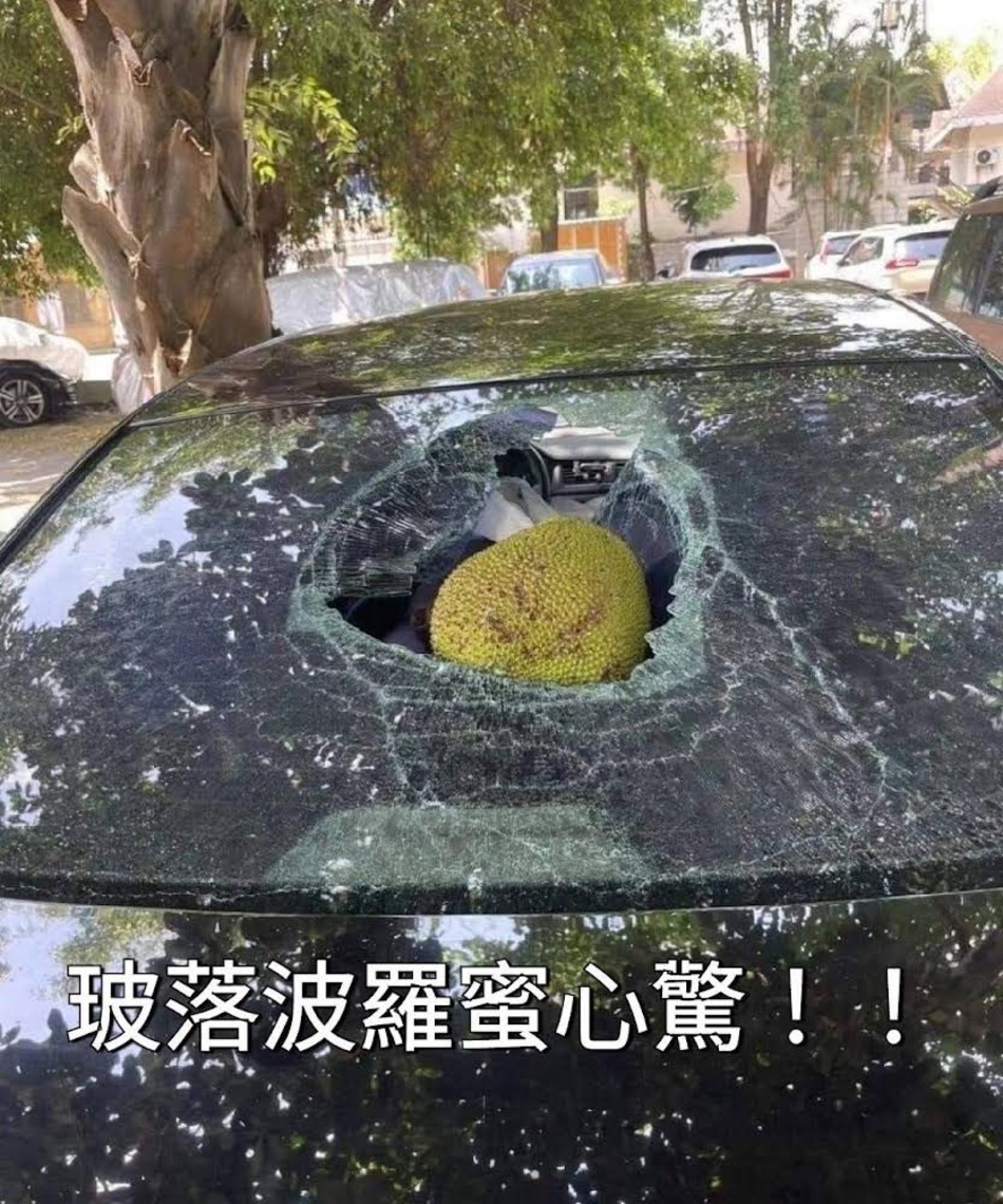 波羅密多心驚/波新聞