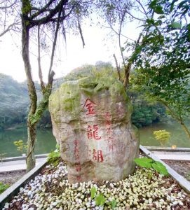 小太陽傳播真善美