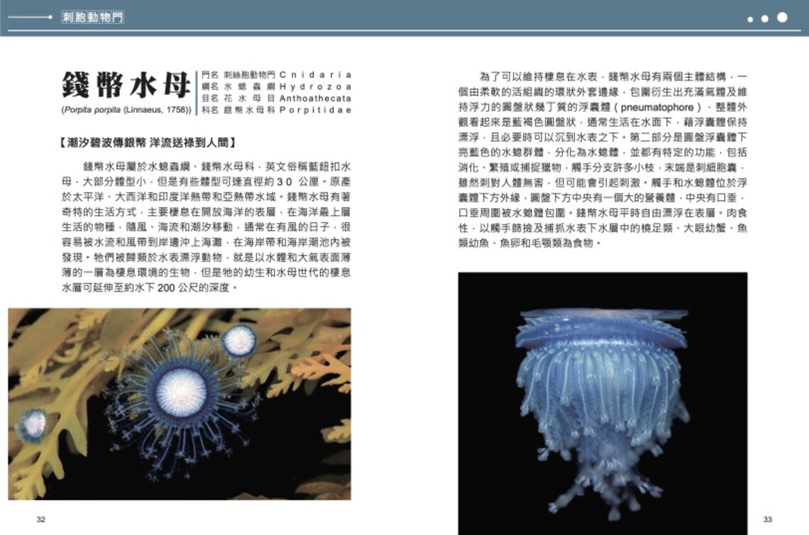 向海洋高度的生物多樣性致敬 國海院新書發表