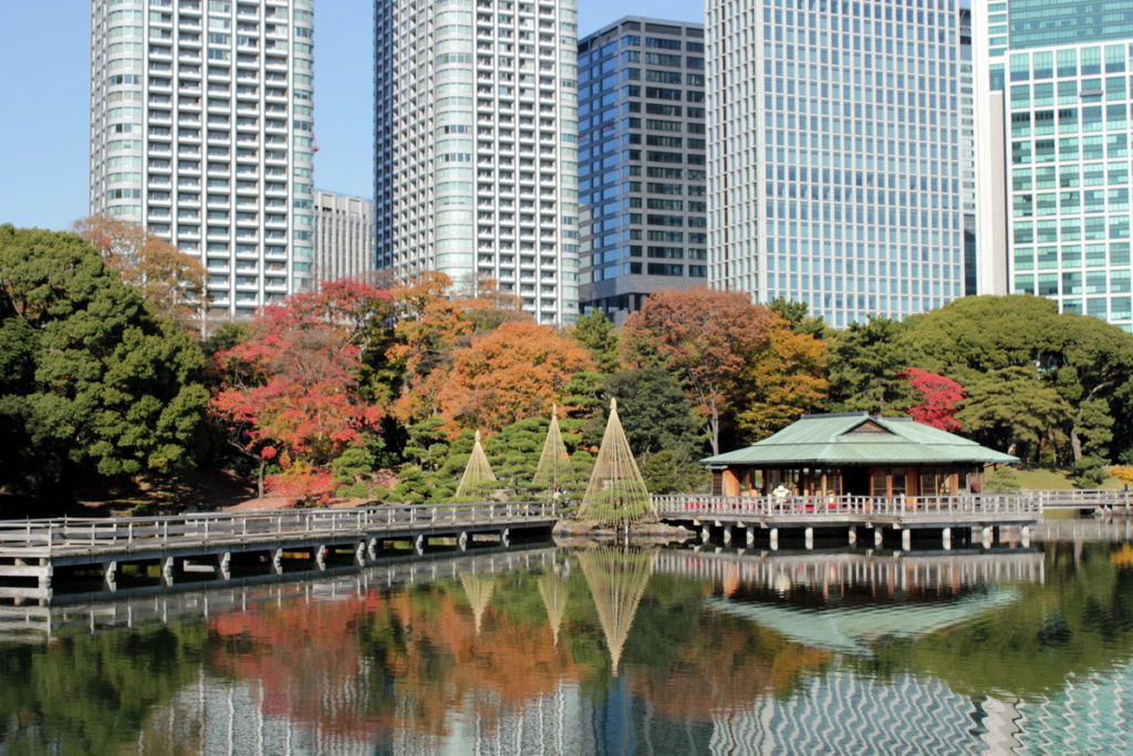濱離宮恩賜庭園 ⒸTCVB