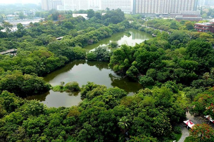 高雄鳥松濕地外環步道新整建完善 生態觀察更安全舒適