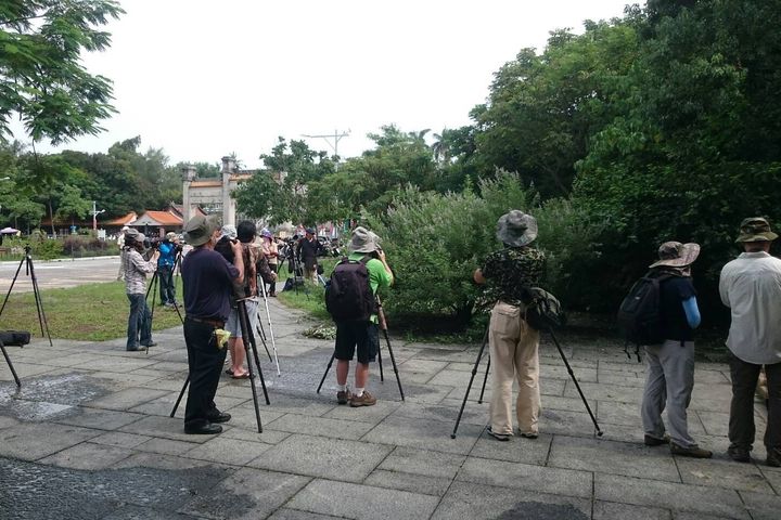高雄鳥松濕地外環步道新整建完善 生態觀察更安全舒適