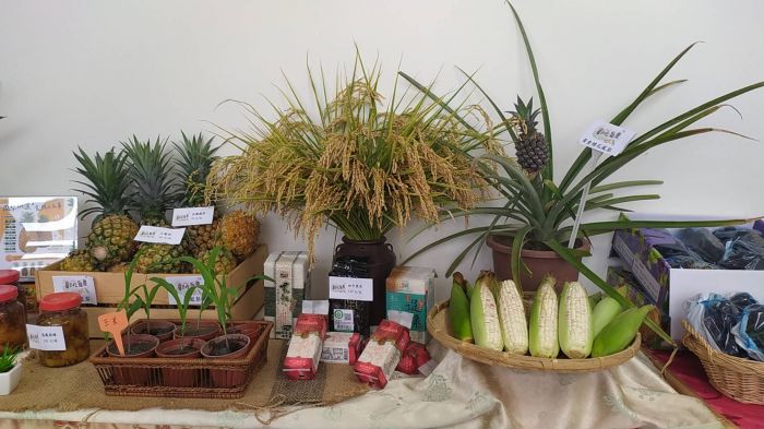 食農教育體驗嘉年華 6月25日起來場餐盤食物小旅行