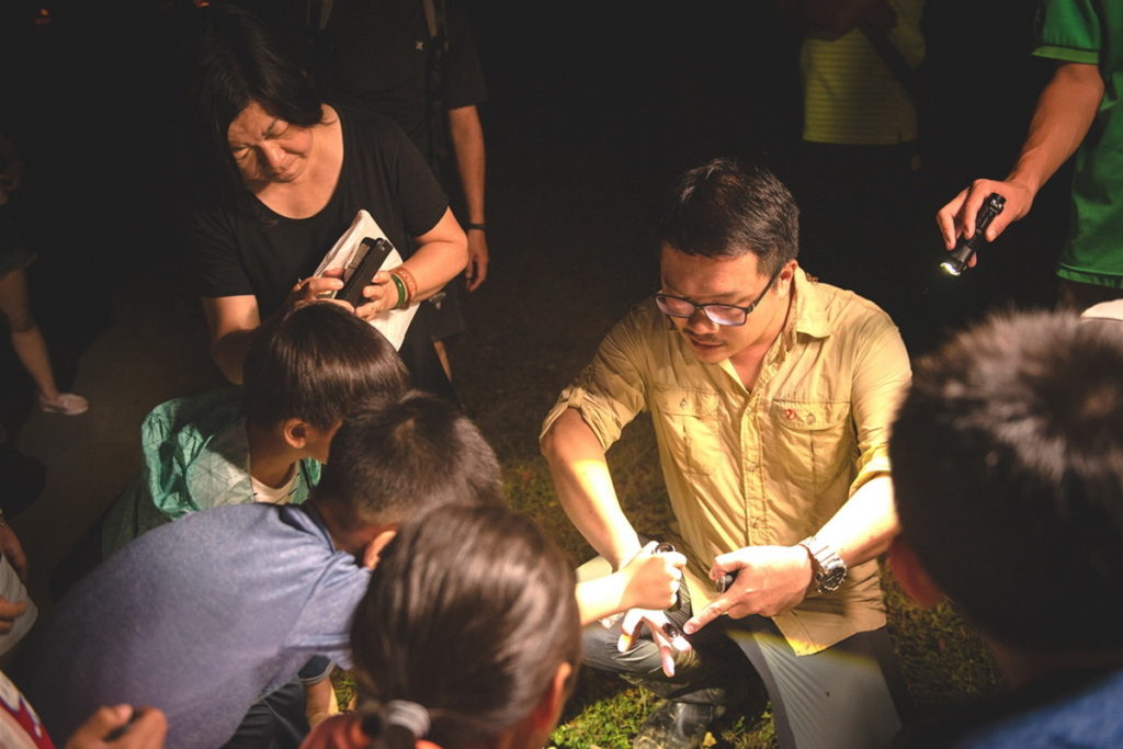 「六福莊夏夜探險 暑期親子營隊」,由專業老師帶領大家在夜間探索動物生態,拜訪星空下的可愛動物。(圖/六福旅遊集團提供)
