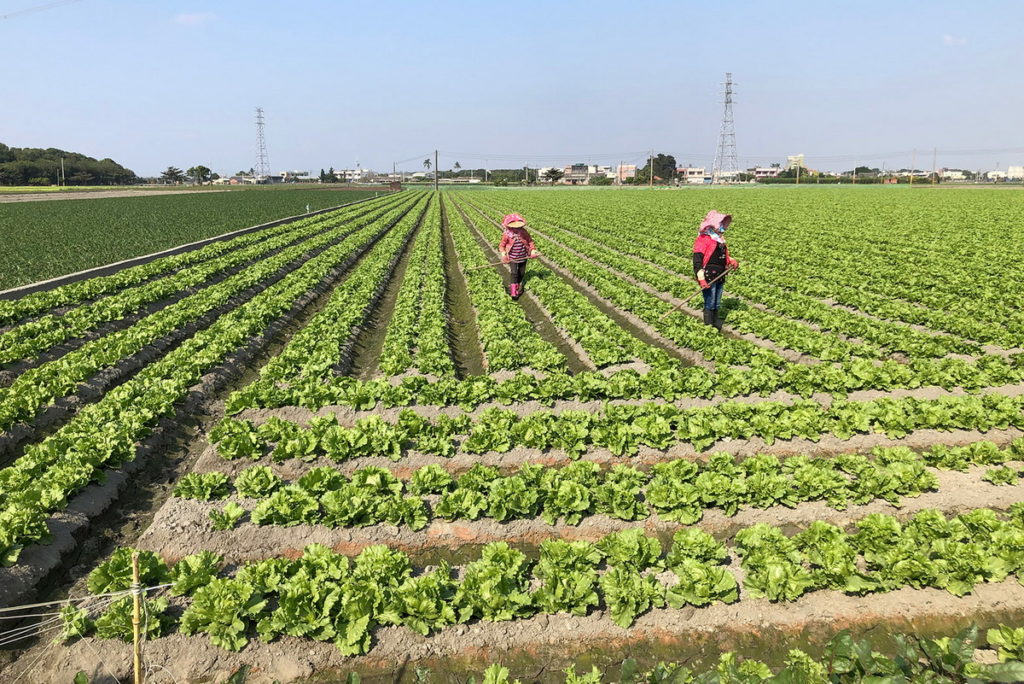 全球氣候異常現象日趨頻繁,影響農作物收成與供應,讓農業永續發展議題更顯重要;「2022麥當勞高峰會」邀請專家探討如何積極因應,讓台灣農業更具競爭力!