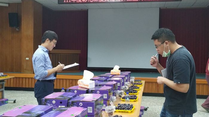 彰化縣冠軍葡萄出爐 挑選優質葡萄專家傳授祕訣
