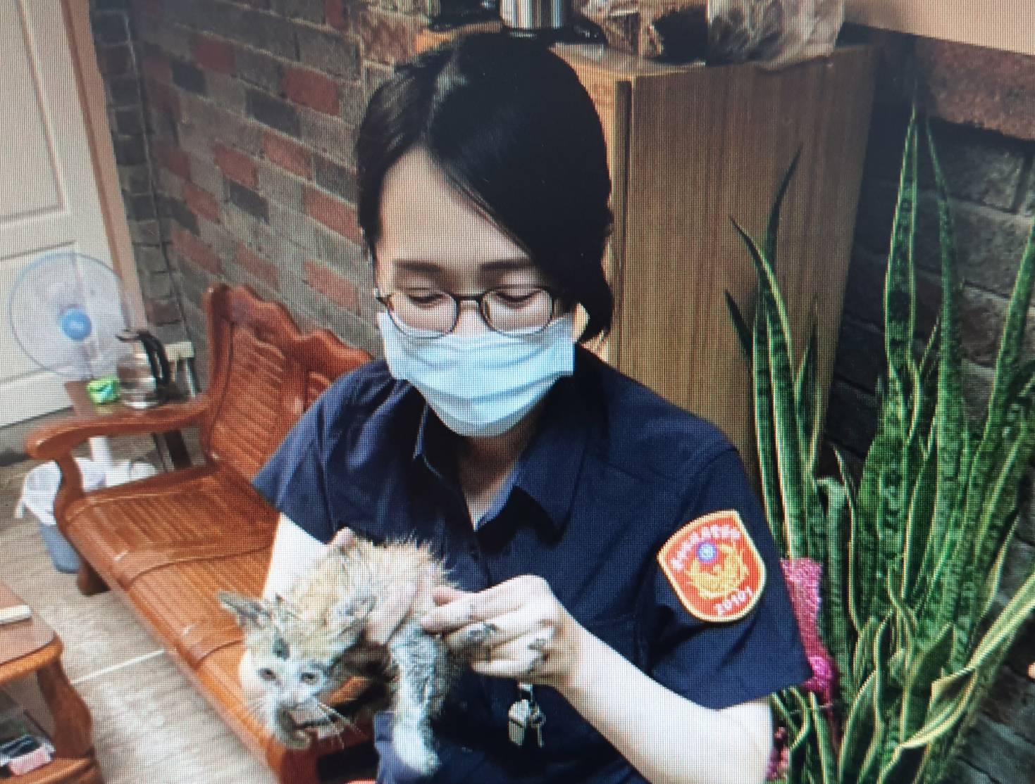 圖片說明:流浪小奶貓鑽巡邏車輪胎內躲雨,暖心員警救出秒收編安置。(記者謝榮浤翻攝)