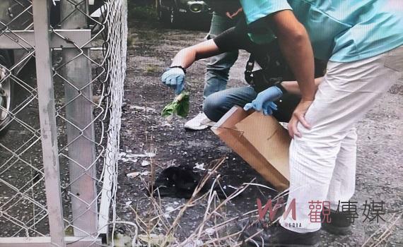 恐怖情人狂叩騷擾盯梢前女友 檢警聯手南投跟騷法首例