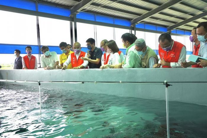 調節產量擴大內外需 行政院長蘇貞昌為石斑魚產業加油