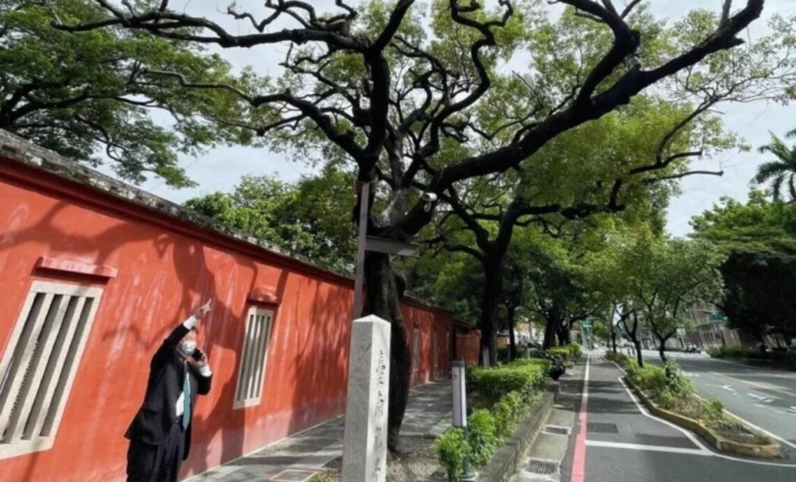 台南景點孔廟鳳凰木命危