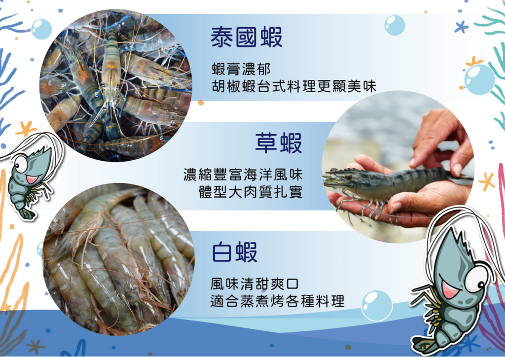 臺灣蝦新鮮營養 健康且美味