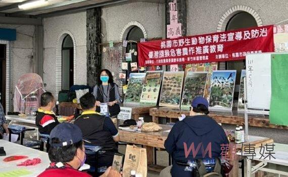 「猴害」拉拉山水蜜桃產區 桃園農業局推友善防治避免人猴衝突