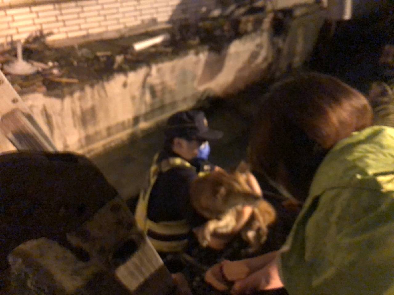 ▲員警爬下大排水溝，小心的將柴犬抱起    (圖/台中霧峰分局 提供)