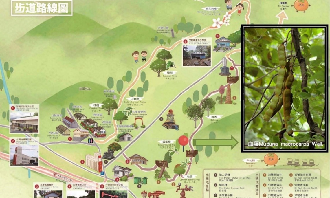 身「林」其境:苗栗出磺坑「植物生態知多少」健行活動即日起報名