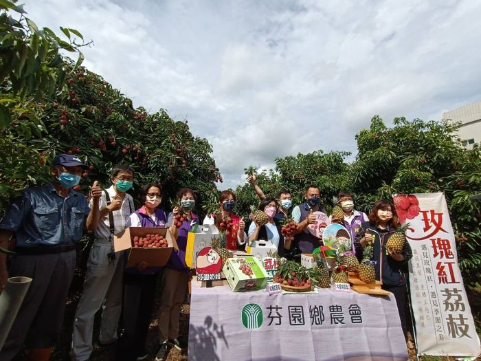 芬園鄉玫瑰紅荔枝嬌貴上市 甜美多汁供不應求