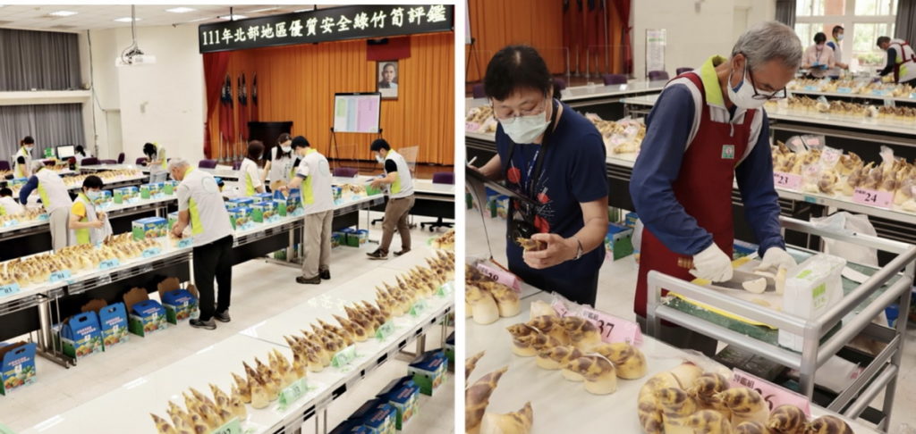 桃改場臺北分場舉行111年度北部地區優質安全綠竹筍評鑑活動 