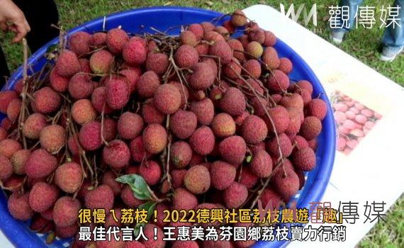 影／很慢ㄟ荔枝！吃在地‧享當季　2022德興社區荔枝農遊「趣」