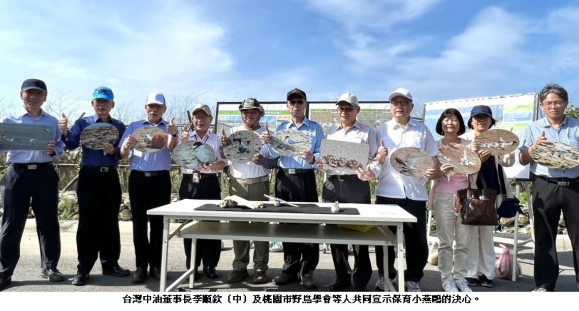 中油營造小燕鷗棲地 為牠們打造第二個家 自然繁殖率大幅提升至七成以上