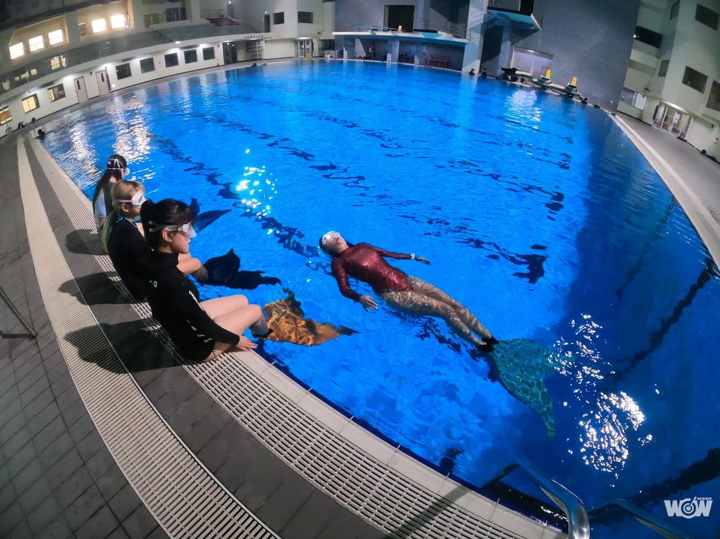 《體壇》新北運動中心暑期特色營隊 超過1300梯次開放報名