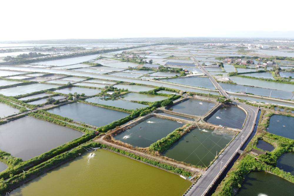 【有影】一次看完食品產業生態系 2022台北國際食品系列展正式登場 42 New Project 2022 06 21T173944.884