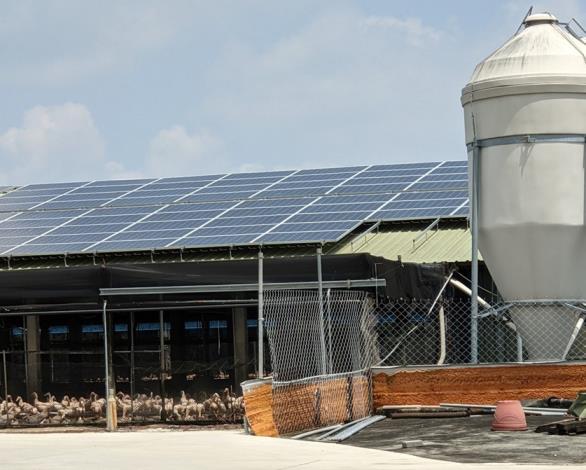 黃偉哲鼓勵畜牧場申請屋頂型綠能 可降溫又節能