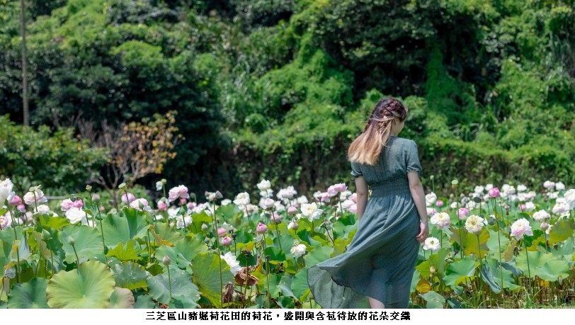 可能是 1 人、站立、花、戶外和文字的圖像