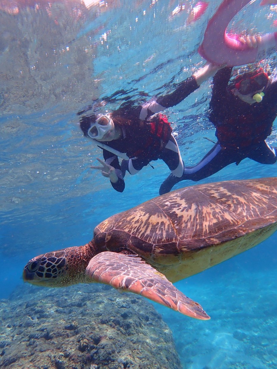 小琉球浮潛2