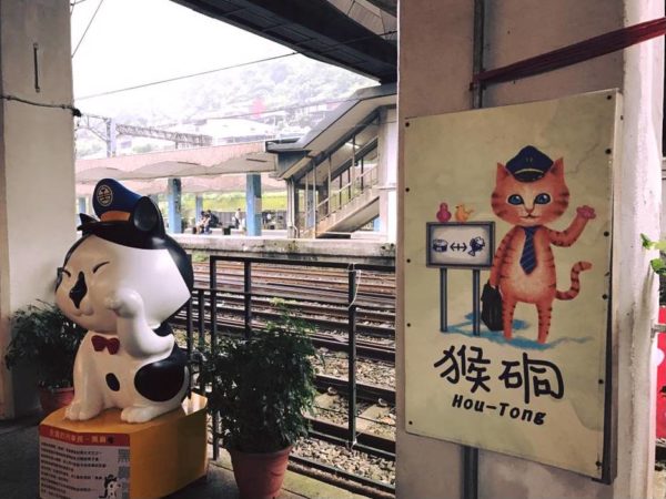 追尋貓咪的足跡   寫下幸福的旅貓日記