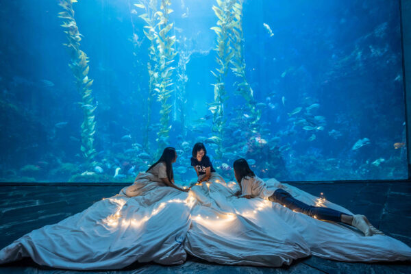 海生館帶你夜訪秘境 與海洋生物同框打卡