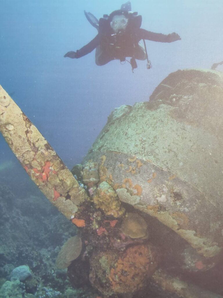 二戰期間沈入海底的日軍偵察機,見證了這段歷史(翻攝自帛琉旅遊展))