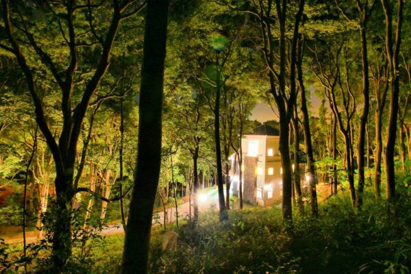今晚我想來點自然系觀景旅宿:環景山谷、仙境樹林、還是溫泉浴療?