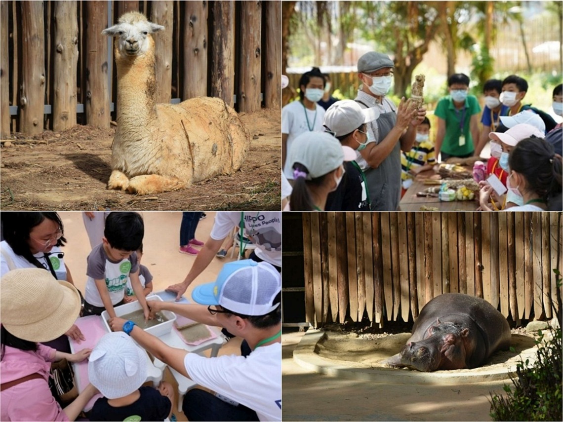 新竹市立動物園系列夏令營活動 歡迎國小一至六年級學童報名
