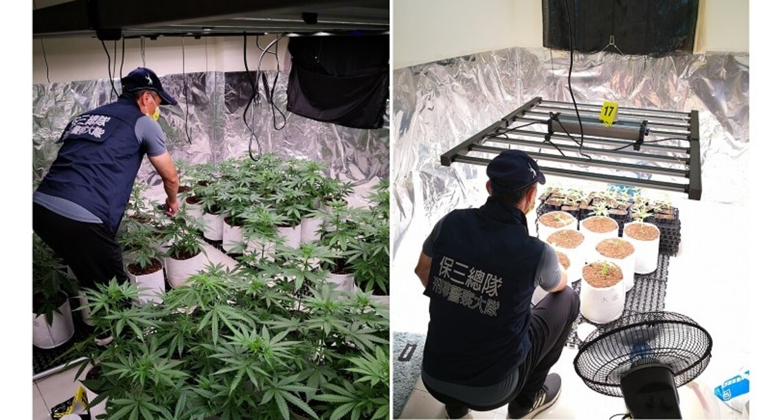 高雄2男疫情無業北上種大麻 保三警新竹破獲大麻工廠