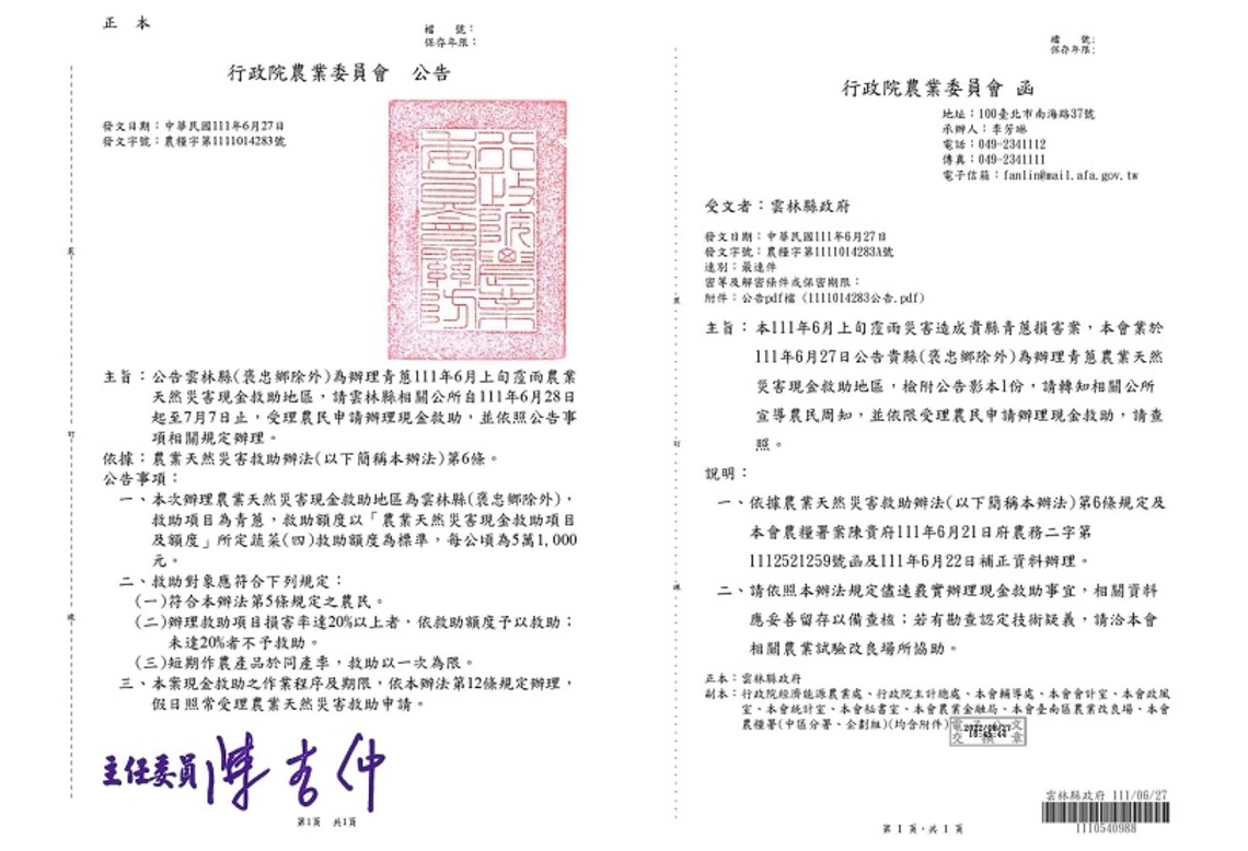 連續霪雨造成青蔥腐爛 雲縣青蔥獲農委會列入災害救助