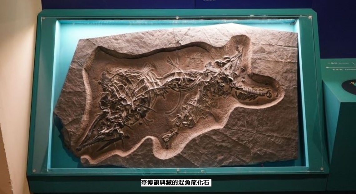 臺博館典藏「混魚龍」與「黃果樹安順龍」化石首次亮相 《水怪特展》跨時空一探史前水棲爬行動物
