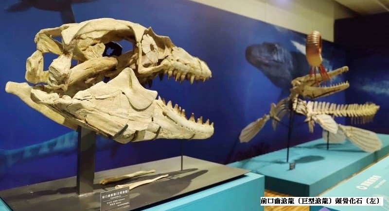 可能是室內和文字的圖像