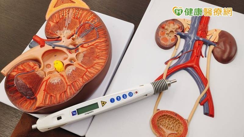 25歲男「快速進展性腎炎」險洗腎 中西醫共治延緩惡化