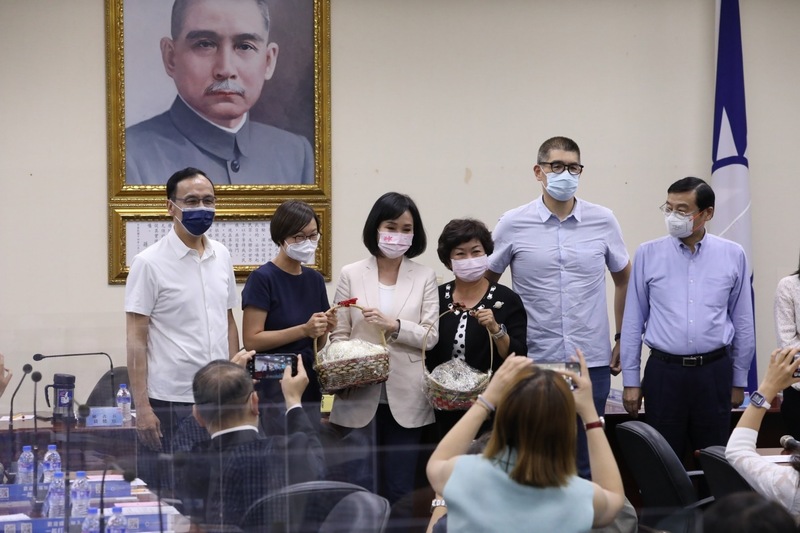 國民黨徵召柯志恩 高雄黨籍議員肯定空戰能力盼扮演最強母雞