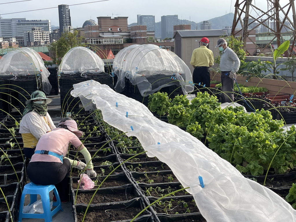 東湖植人培訓照片
