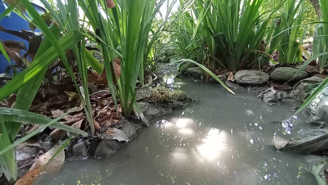 颱風引入西南氣流,豪雨請屏東縣農民注意防範並提早因應/波新聞