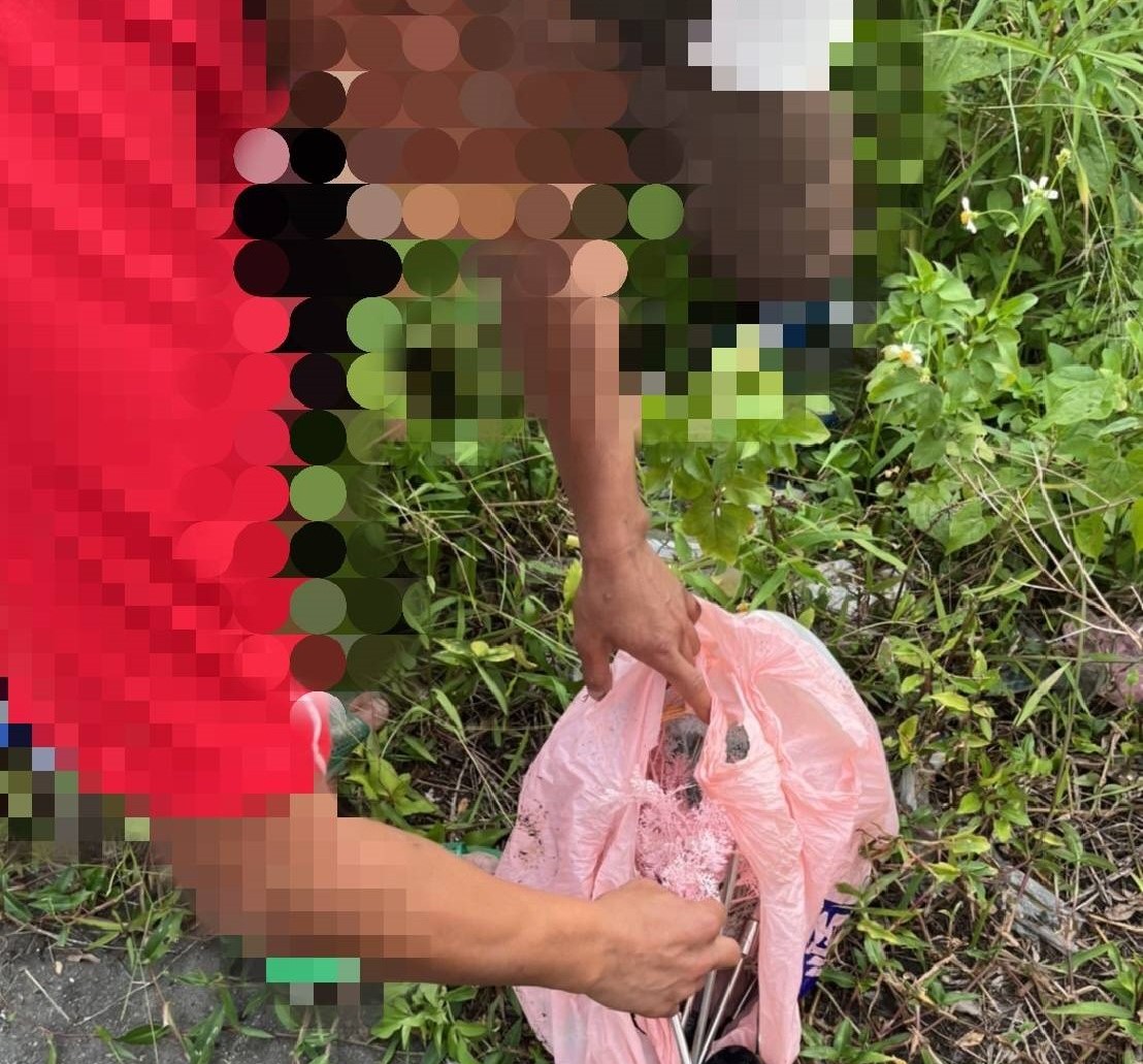 ▲苗栗市一處花園內的裝飾小燈連續遭竊,警方循線查獲張姓竊嫌 (圖/苗栗縣警察局 提供)