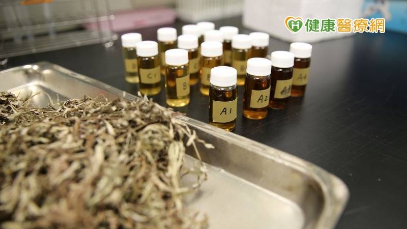 艾草有益巴金森治療 花蓮慈濟研究登國際期刊