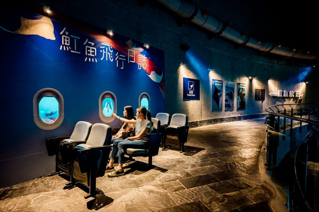 民眾可登上魟魚航班,感受不同海底景色與魟魚的曼妙姿態