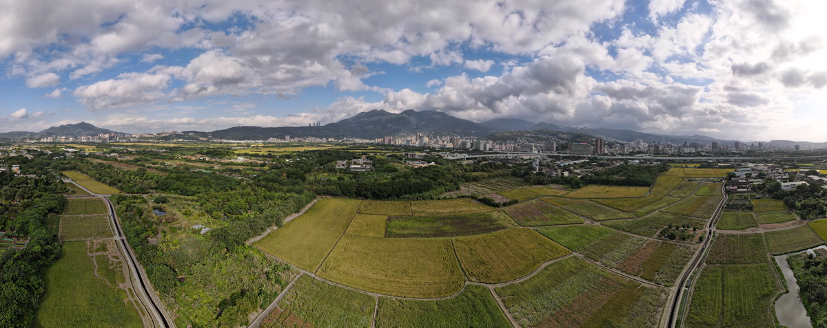 關渡平原