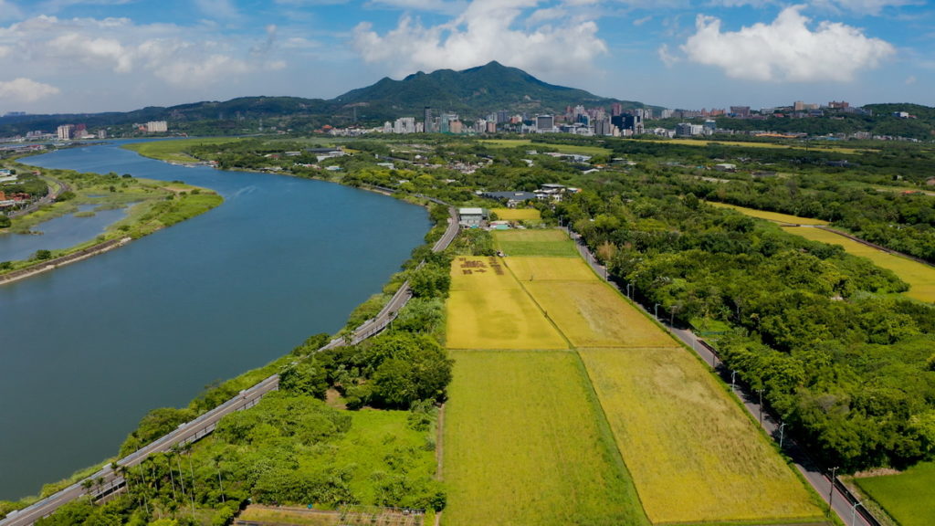 關渡平原