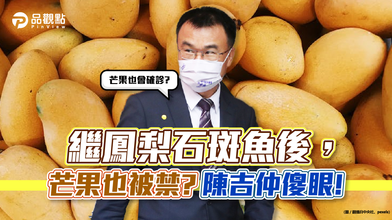 品觀點|芒果顯陽?大陸禁止進口 陳吉仲回,芒果也會確診?|政治