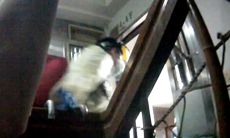 圖片說明：台中市七旬老婦反鎖屋內，中警四分局速破門營救。(記者謝榮浤翻攝)