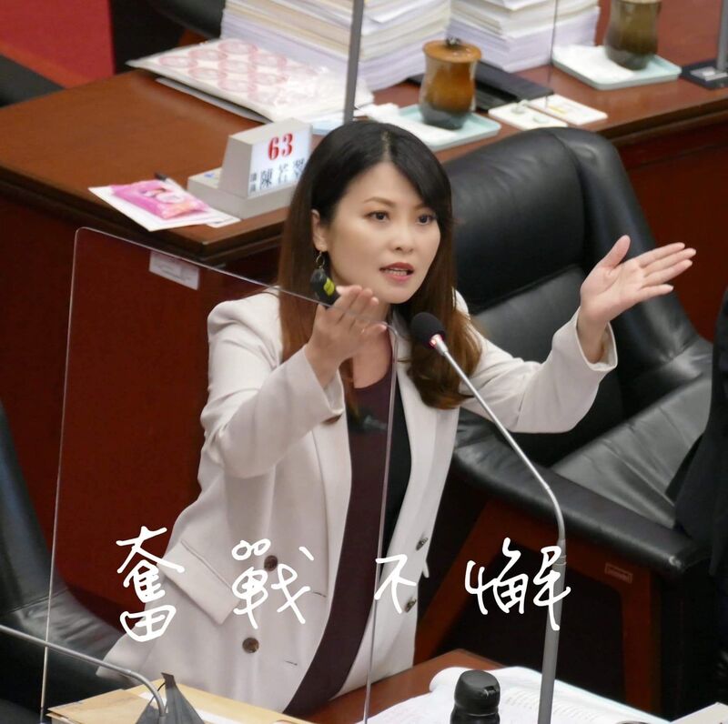 漾新聞|反霸凌反網軍治國 陳美雅:網路的天空何時可以變乾淨?