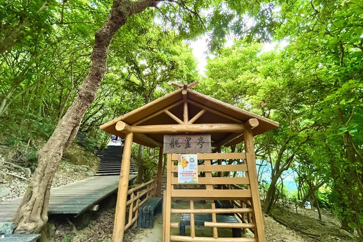 壽山登山步道優化通訊點 打卡通話求援更便利!