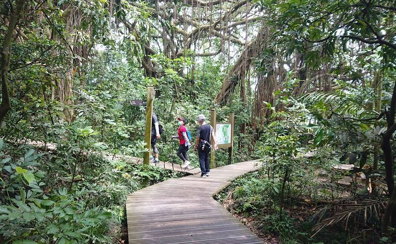 壽山登山步道優化通訊點 打卡通話求援更便利!